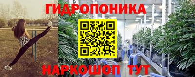 прущие грибы Бузулук