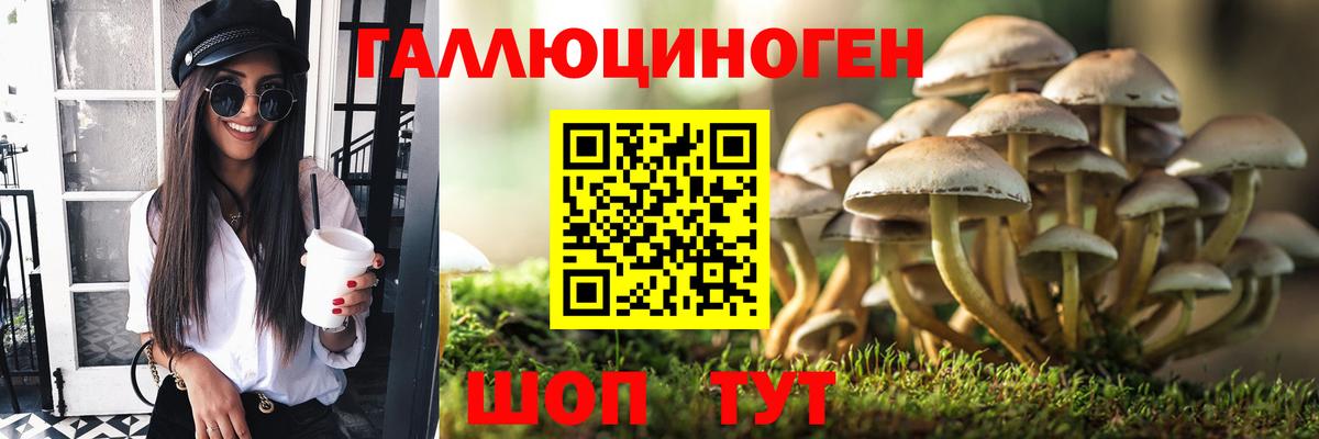 Псилоцибиновые грибы ЛСД Краснотурьинск